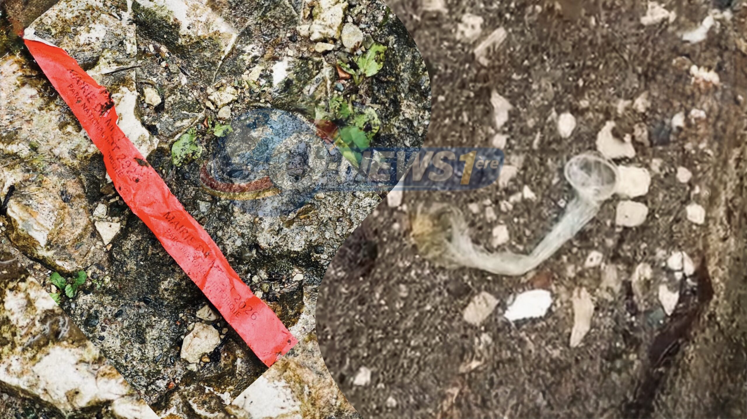 Drame de la Citadelle Henri : taxes, chaos et « kapòt » souillés — l’ombre accablante de la mairie de Milot [ENQUÊTE]